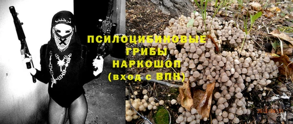 стаф Горняк
