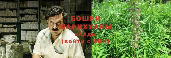 стаф Горняк